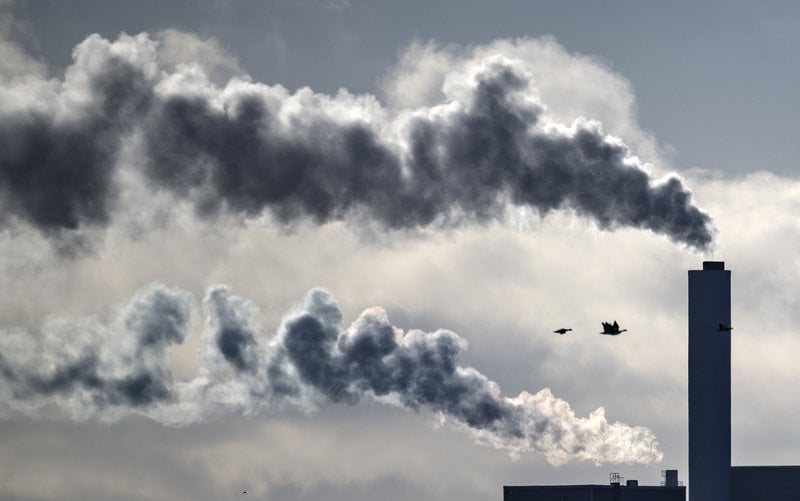 Foto: Johan Nilsson/TT 